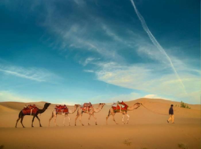 Desert Holiday ジャイサルメール エクステリア 写真